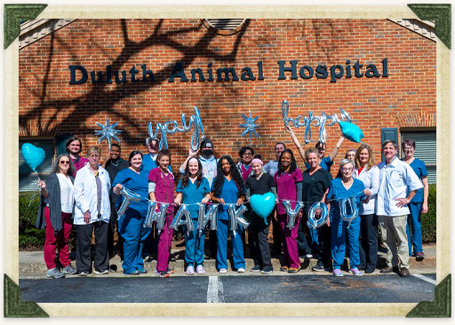 Contact Our Veterinary Hospital in Duluth