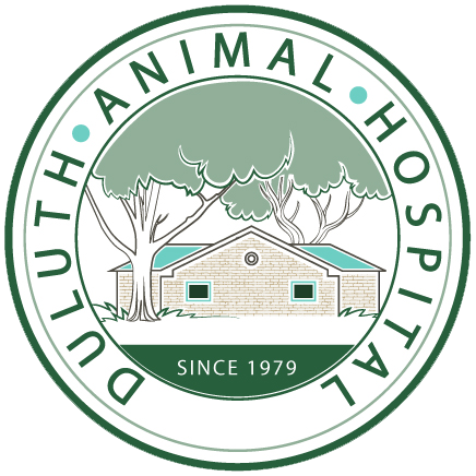 Duluth Animal Hospital logo favicon
