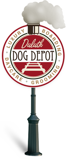 Duluth-Dog-Depot-logo