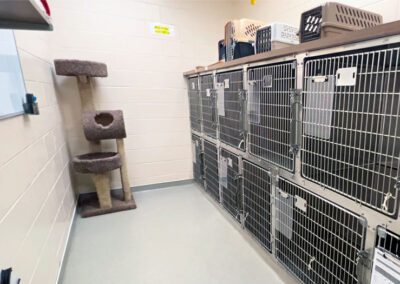 pet kennels at Duluth Animal Hospital