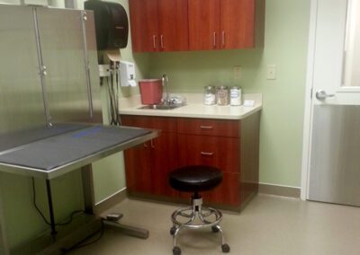 veterinary exam room