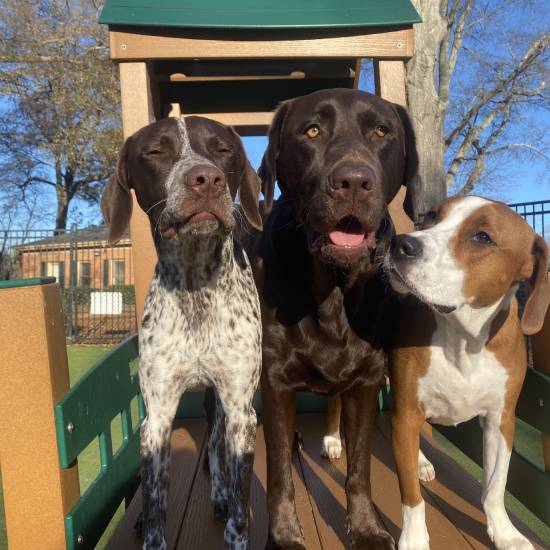 Day Camp