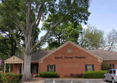 Duluth animal hospital building
