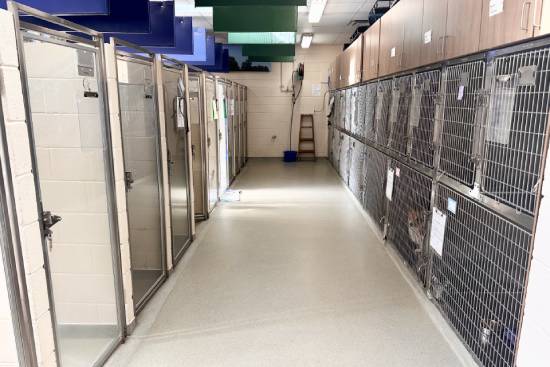 Kennel Kennel