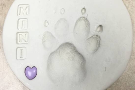 PawPrint