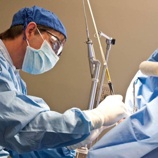 Pet Surgery Services