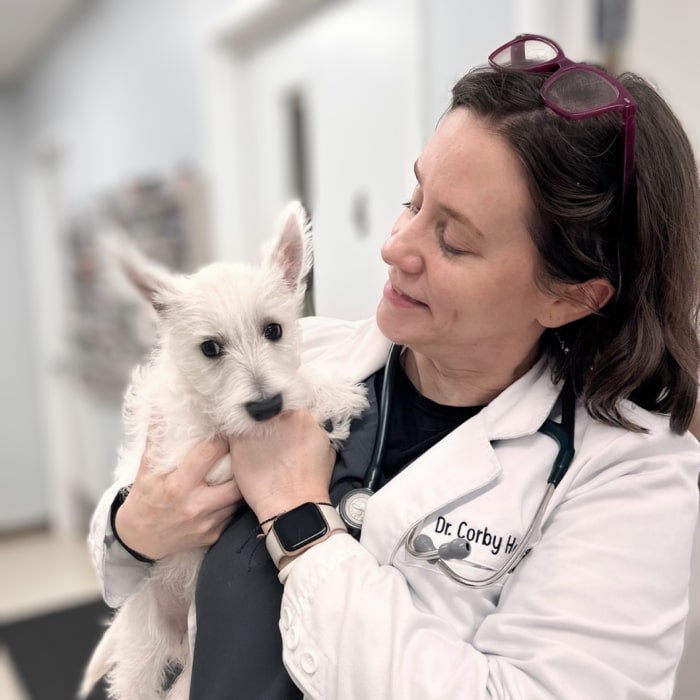 Dr Holson with Puppy-min Doctor holds a cute white dog