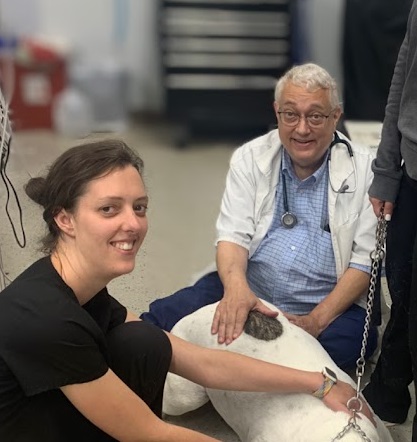 Dr Tison Dog Vet caring for an animal.