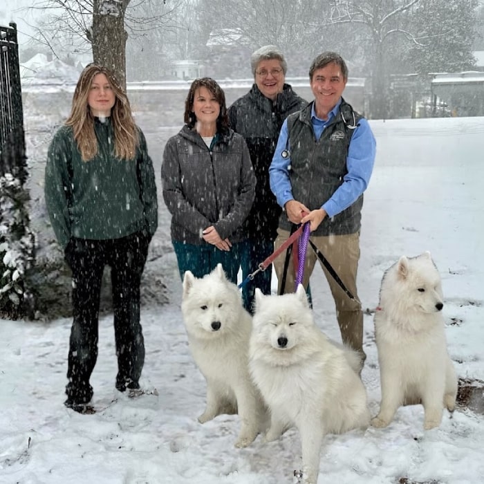 Vet with Samoyeds in snowy weather Vet with Samoyeds in snowy weather