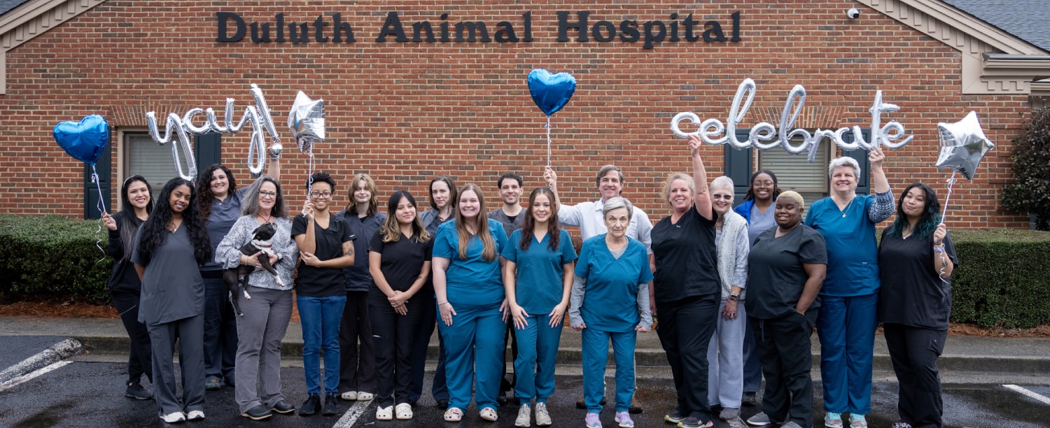 Staff celebrate at animal hospital